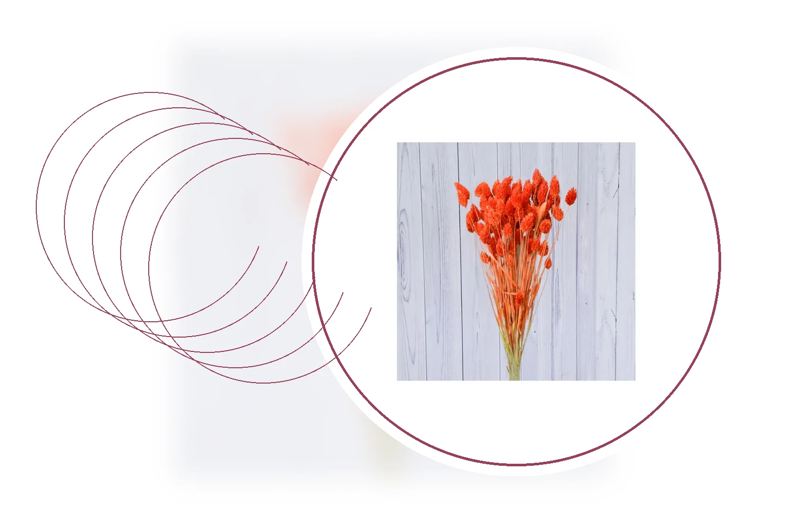 Editorial floral composition representing flower delivery enquiries in Pretoria in South Africa